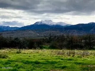 299 S Wade Schandley Drive, Tonto Basin, AZ 85553 - #2