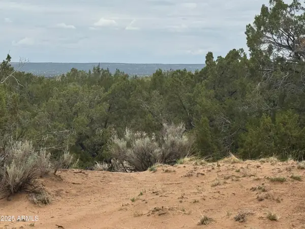 Lot 78 Witch Well Ranches -- #78, St Johns, AZ 85936