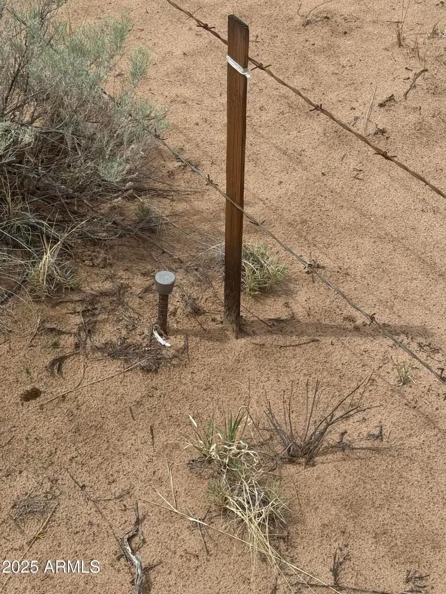 Lot 78 Witch Well Ranches -- #78, Saint Johns, AZ 85936 - #2