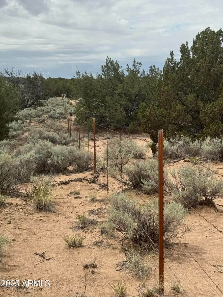 Lot 78 Witch Well Ranches -- #78, Saint Johns, AZ 85936 - #3