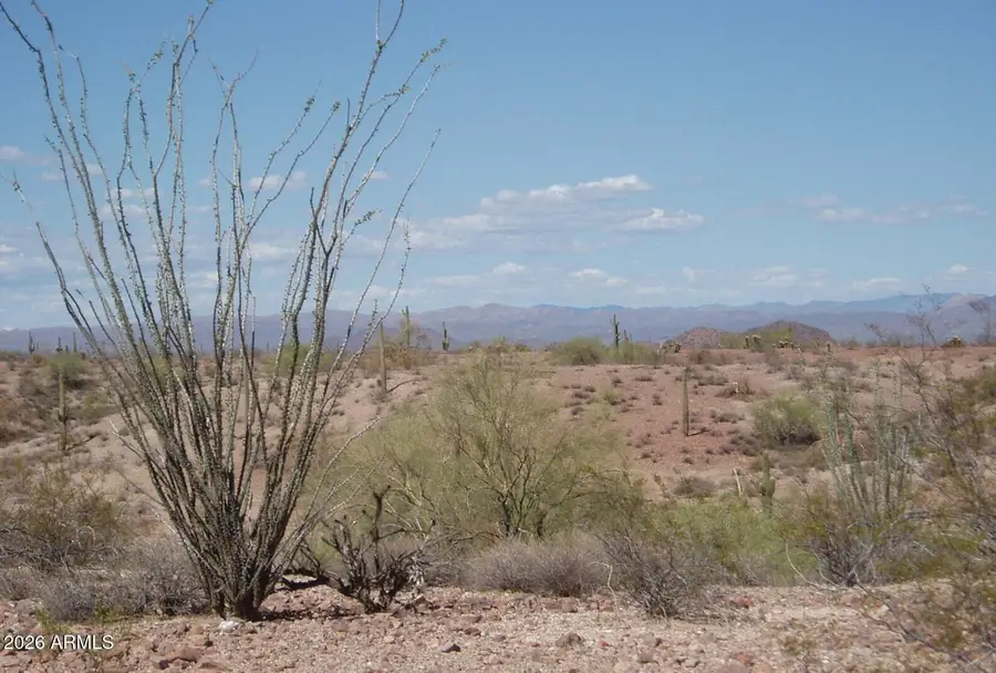 29299 W Villa Cassandra Way #3-19, Unincorporated County, AZ 85361 - #2