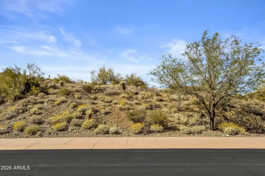 16722 N Mountain Parkway #71, Fountain Hills, AZ 85268 - #2