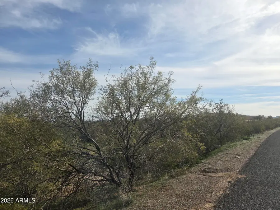 35525 S Antelope Creek Road #57, Wickenburg, AZ 85390 - #3