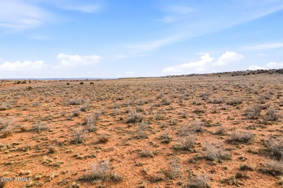 9xxx Miller Trail, Snowflake, AZ 85937 - #2