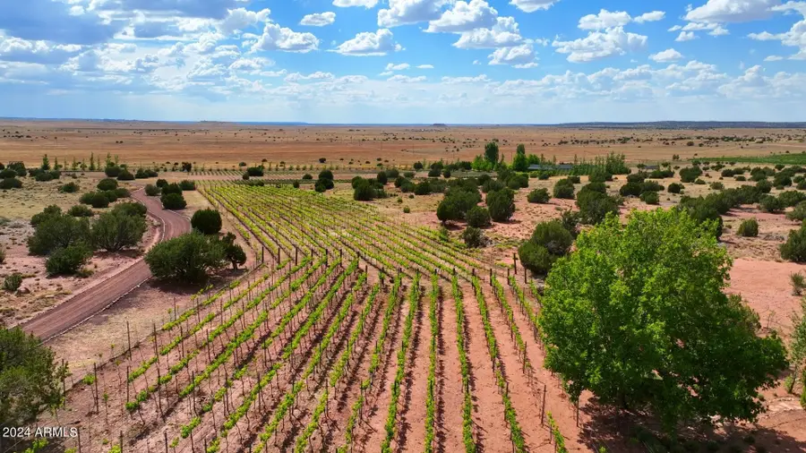 14 Cr 5309 --, Concho, AZ 85924 - #2