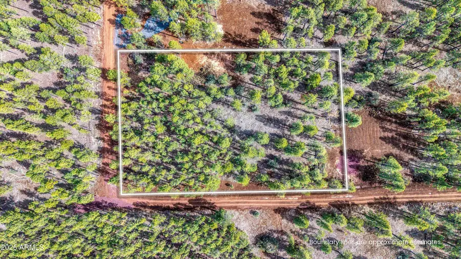 1 Acre Birdsong Way, Lakeside, AZ 85929 - #2