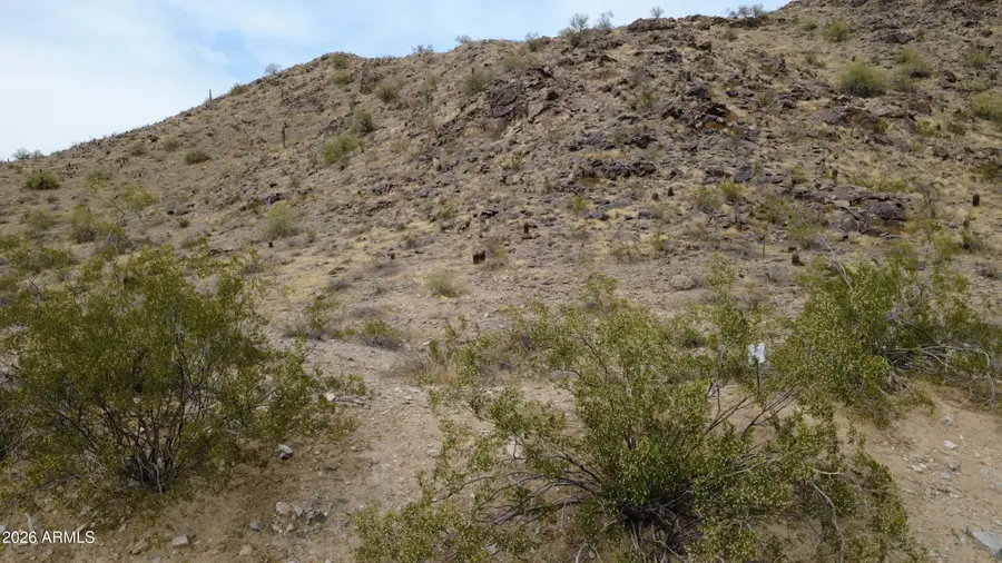 13829 S Canyon Drive #33, Phoenix, AZ 85048 - #2