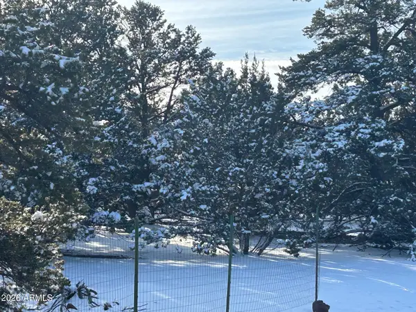 Lot 86 Ricks Road #86, Vernon, AZ 85940