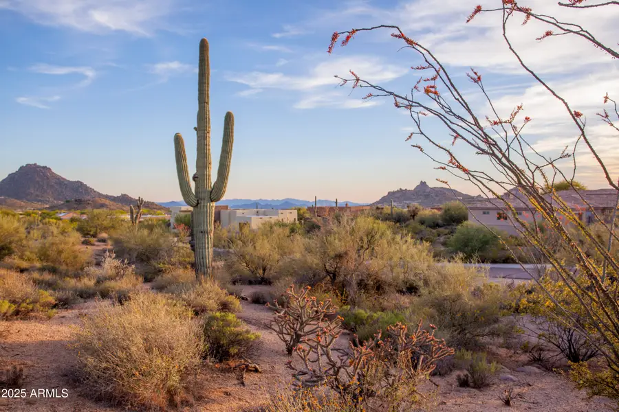 28787 N 114th Street #N & P, Scottsdale, AZ 85262 - #2