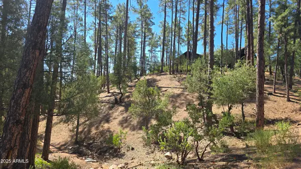 401 N Grapevine Drive #525, Payson, AZ 85541