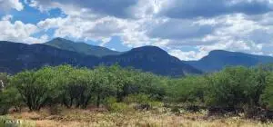3.68AC E Ramsey Canyon Road #B, Hereford, AZ 85615