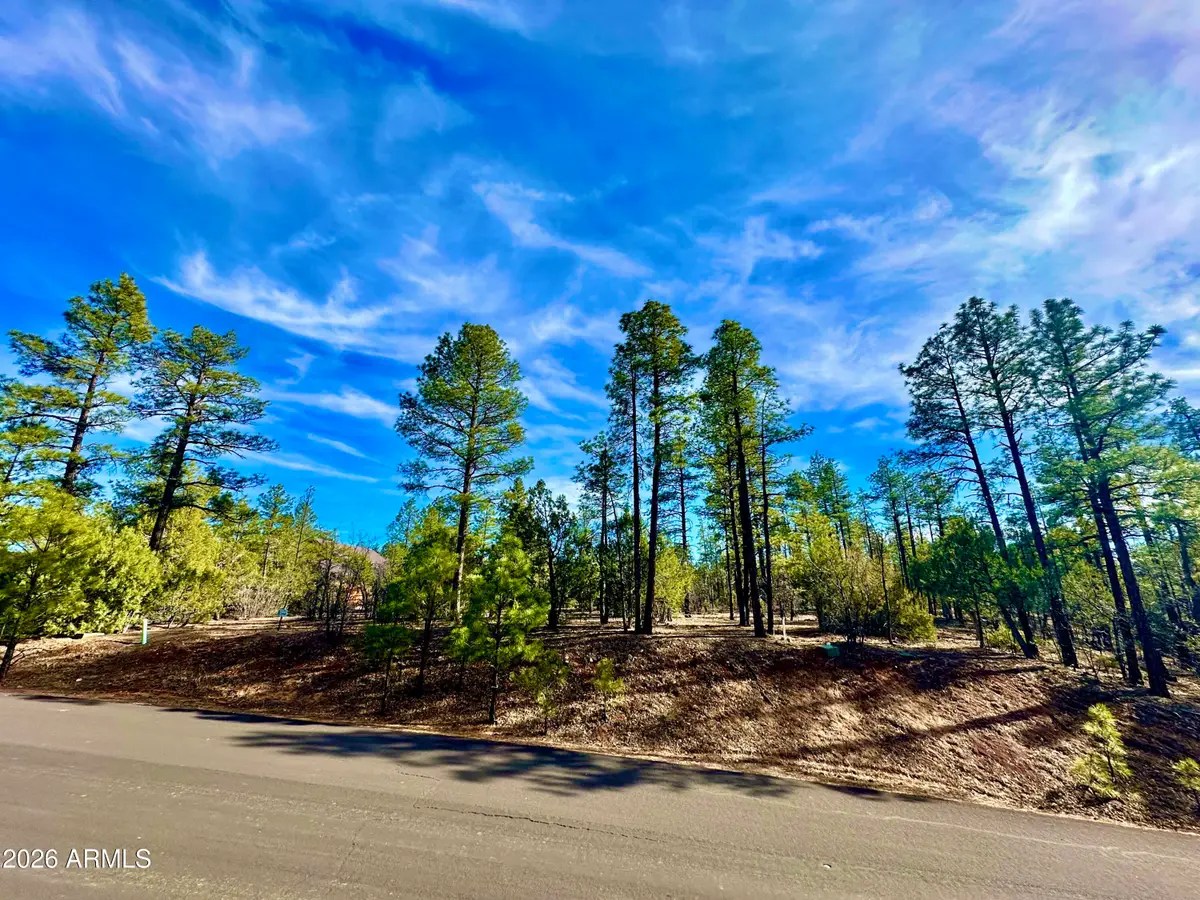 321 W Aspen Trail #240, Show Low, AZ 85901 - #1