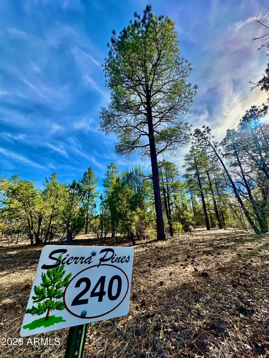 321 W Aspen Trail #240, Show Low, AZ 85901 - #2