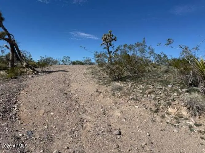 8277 W Escondido Avenue, White Hills, AZ 86445 - #2