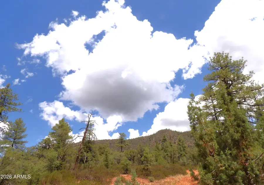 018E &014U Pine Hollow Trail #018E & 014U, Pine, AZ 85544 - #2