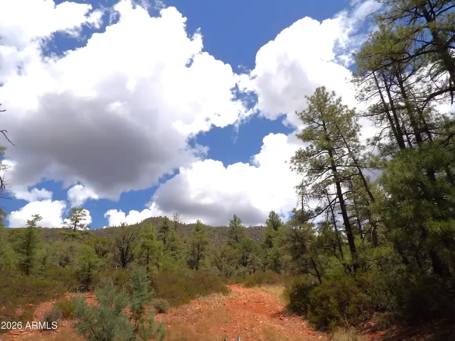 018E &014U Pine Hollow Trail #018E & 014U, Pine, AZ 85544 - #3