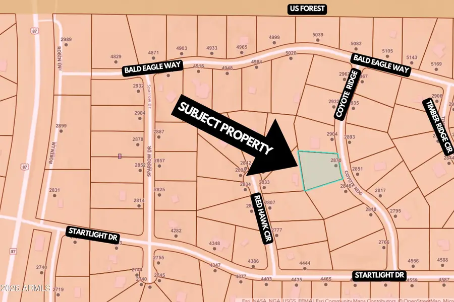 2870 Coyote Ridge #54, Happy Jack, AZ 86024 - #3