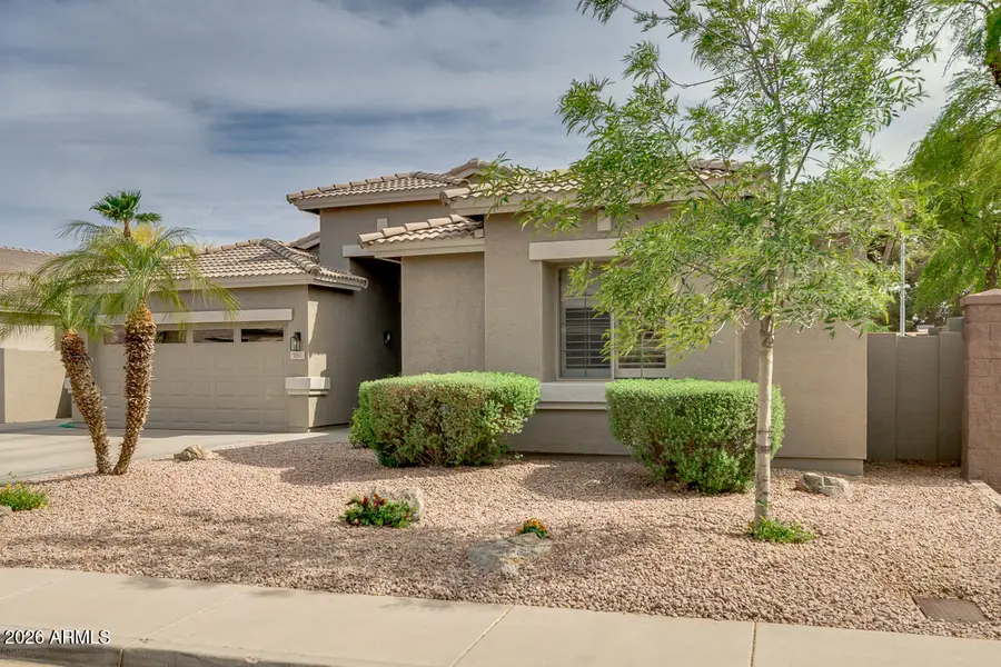 181 W Birchwood Place, Chandler, AZ 85248 - #3