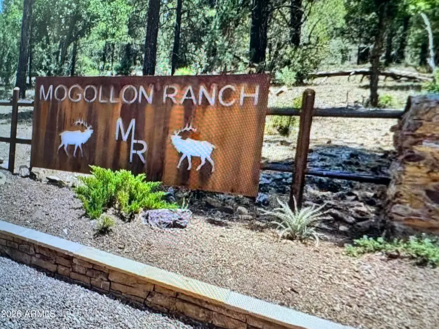 3665 Pinehurst Drive #170, Happy Jack, AZ 86024 - #2