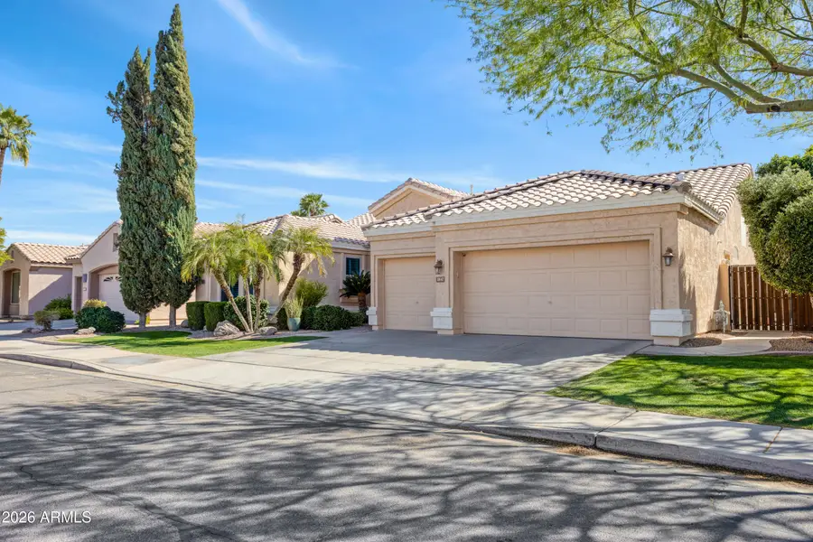 1847 W Bluebird Drive, Chandler, AZ 85286 - #3