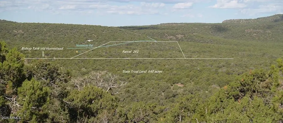 15115 Noseeum Road #261, Williams, AZ 86046 - #2