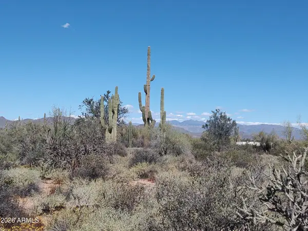 31XXX N 166th Place, Scottsdale, AZ 85262