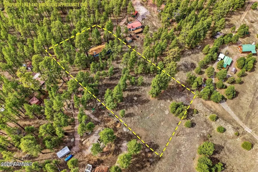 6 S County Road N2148 Road, Alpine, AZ 85920 - #2