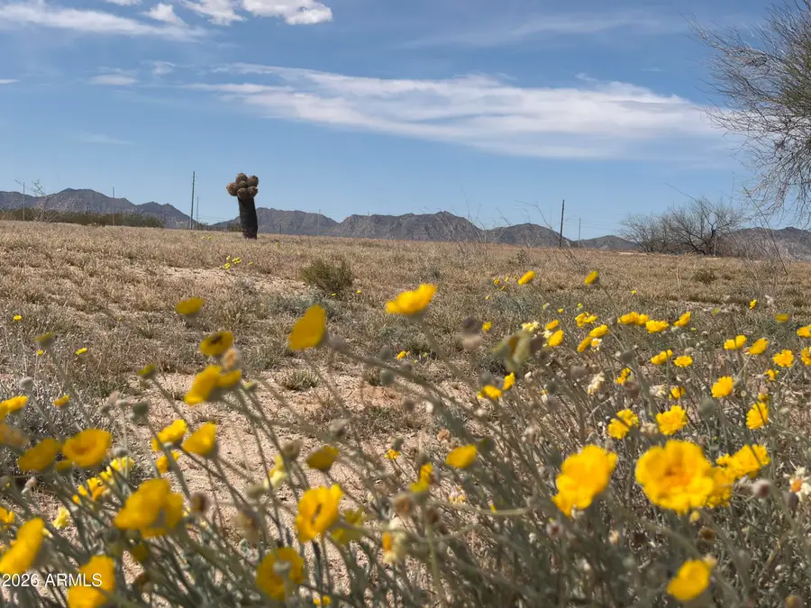 37138 Six Shooter Road #3, Salome, AZ 85348 - #2