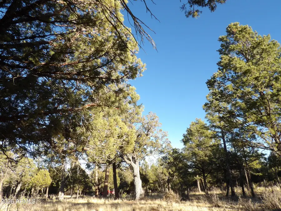 2570 Kettle Way #200, Happy Jack, AZ 86024 - #3