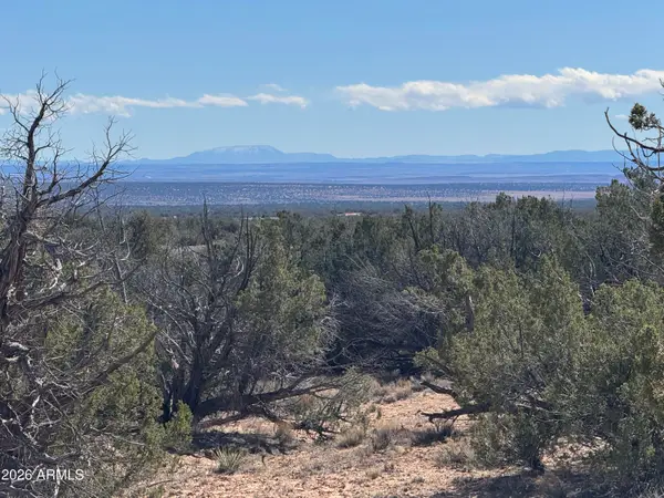 Lot 75 Red Sky Ranch -- #75, St Johns, AZ 85936