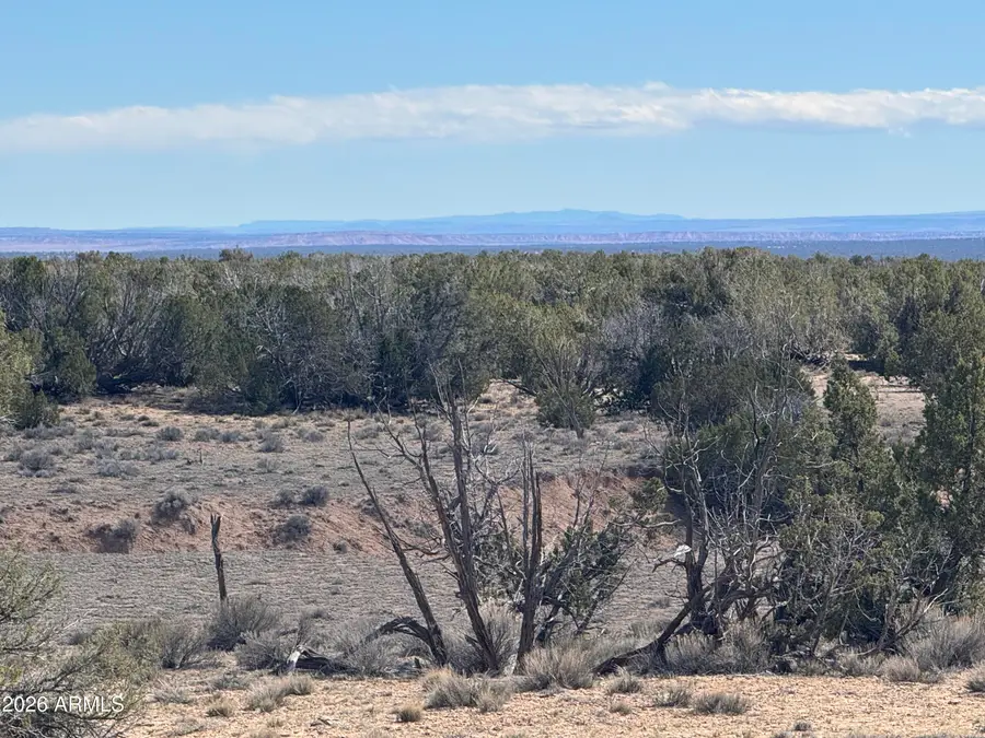 Lot 75 Red Sky Ranch -- #75, Saint Johns, AZ 85936 - #3