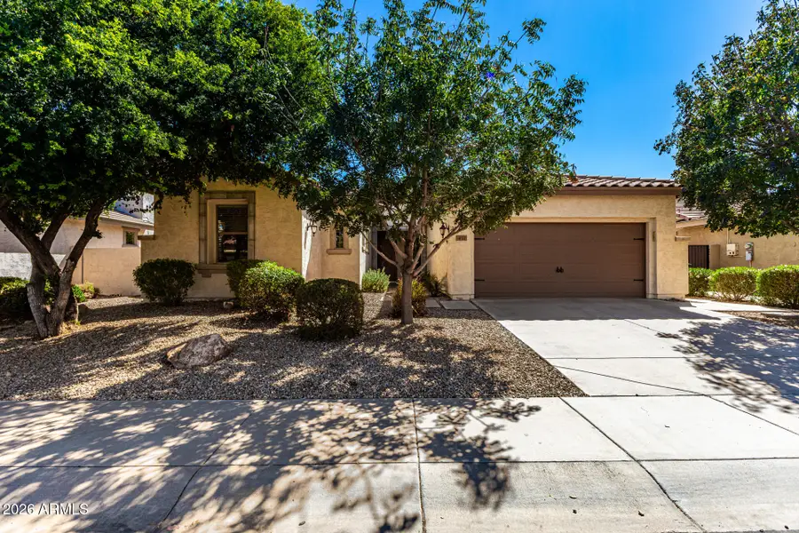 417 W Desert Broom Drive, Chandler, AZ 85248 - #3