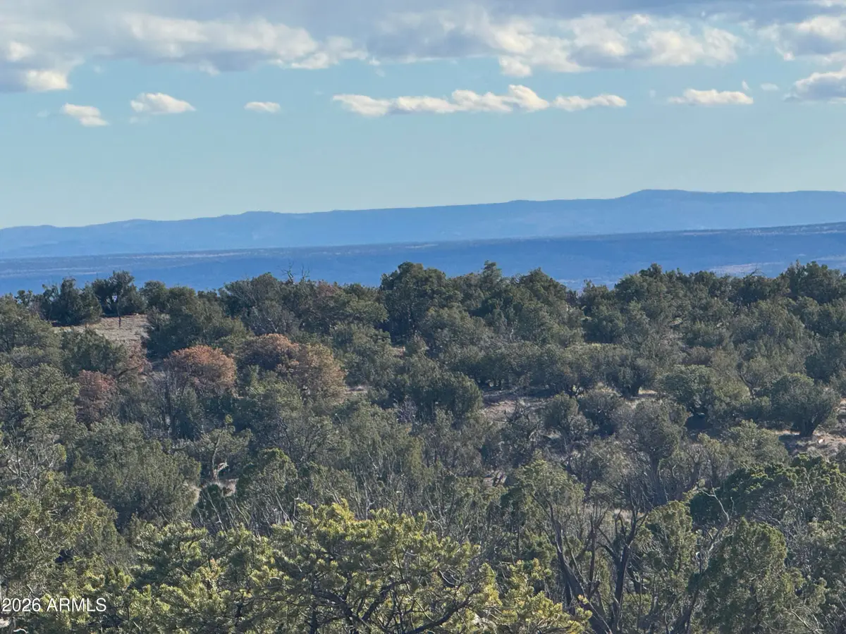 Lot 93 Red Sky Ranch -- #93, Saint Johns, AZ 85936 - #1