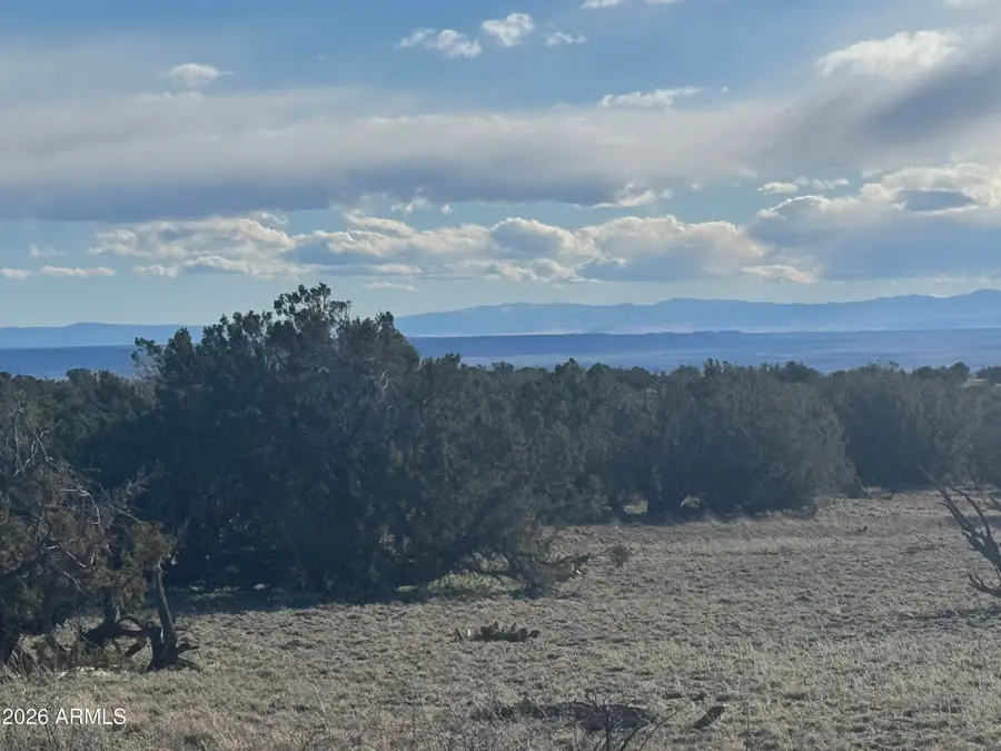 Lot 93 Red Sky Ranch -- #93, Saint Johns, AZ 85936 - #2