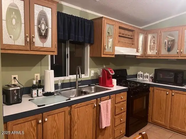 301 S Signal Butte Road #233, Apache Junction, AZ 85120 - #3