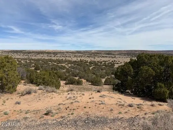 191 N 191 Alley #20434058, St Johns, AZ 85936