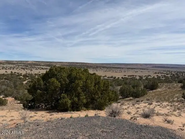 191 N 191 Alley #20434058, Saint Johns, AZ 85936 - #3