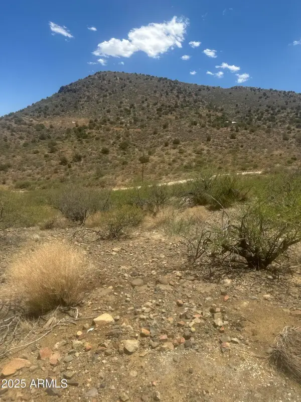 98 Copper Canyon Ranch --, Globe, AZ 85501
