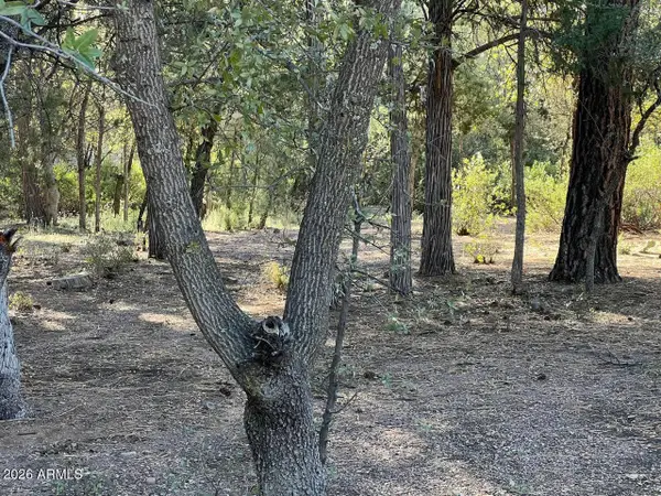 821 W Eagle Ridge Circle, Payson, AZ 85541