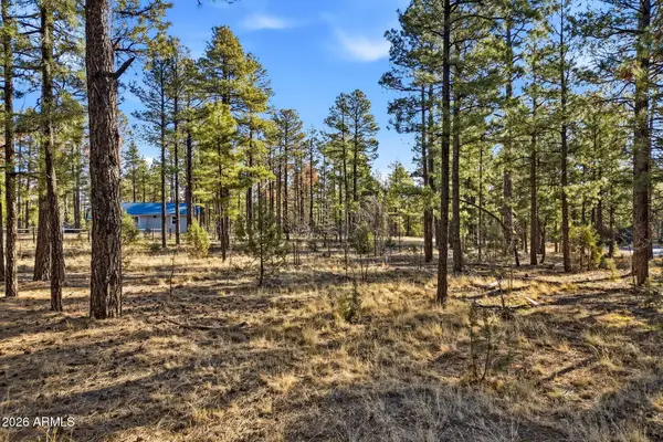 2090 Knotty Pine Circle #019F, Overgaard, AZ 85933