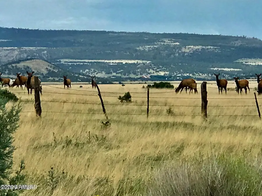 26 N Cr 2009 -- #004D, Nutrioso, AZ 85932 - #2