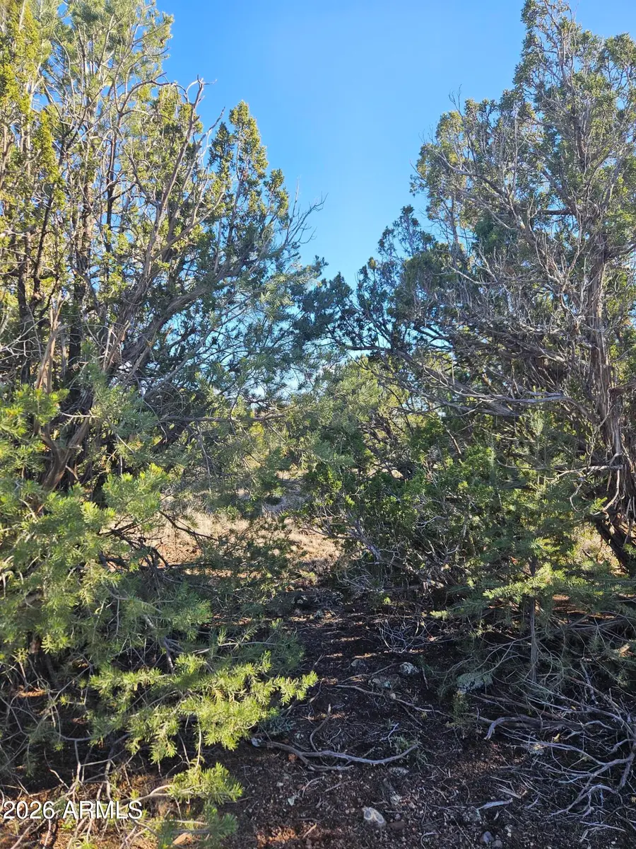 1856 Rainbow Circle, Show Low, AZ 85901 - #2