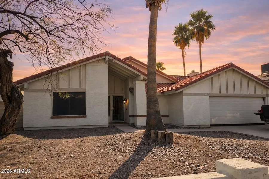 7739 W Cholla Street, Peoria, AZ 85345 - #2