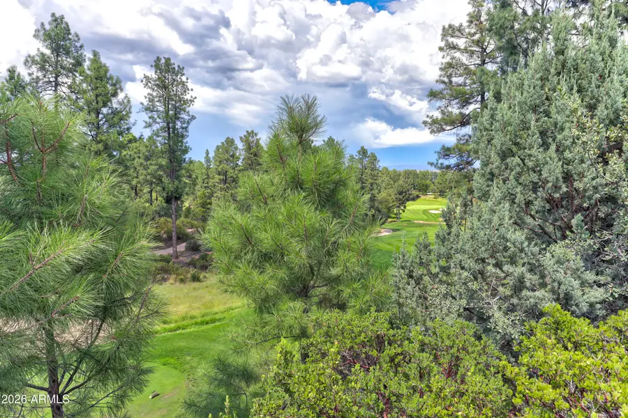 2502 E Grapevine Drive #347, Payson, AZ 85541 - #3