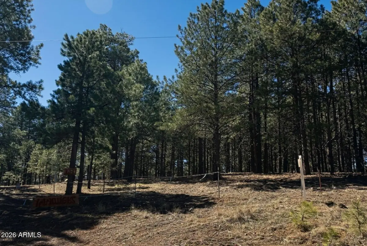 1080 Pond Circle #890, Forest Lakes, AZ 85931 - #1