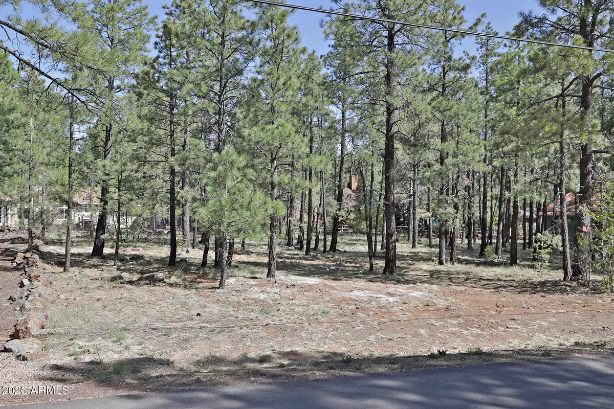 7466 Buck Springs Road #175, Pinetop, AZ 85935 - #1
