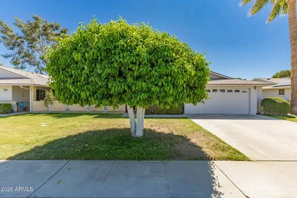 10731 W Salem Drive, Sun City, AZ 85351