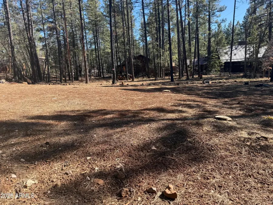 3430 Blacksmith Trail, Pinetop, AZ 85935 - #3