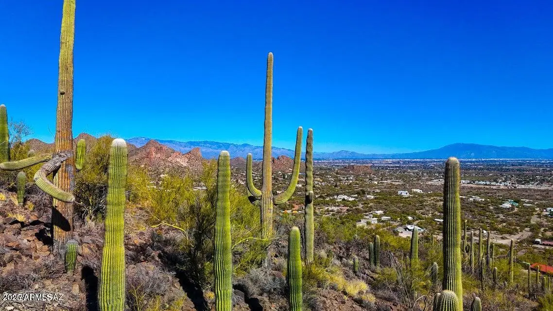 TBD S Villa Sueno Lejos 10 Acres --, Tucson, AZ 85746 - #1