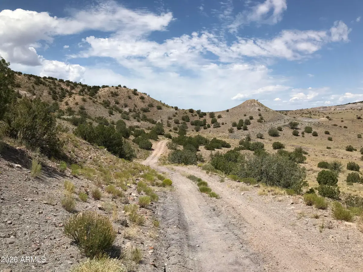0 Lot N5338 --, Concho, AZ 85924 - #1